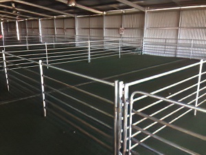 New Sheep Lairage Building - Bunbury